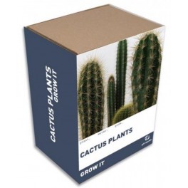 Grow it - Kaktusy