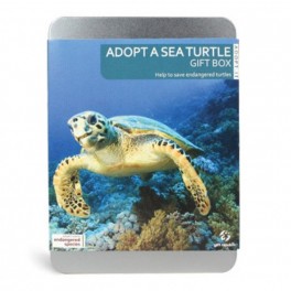 Adoptuj mořskou želvu